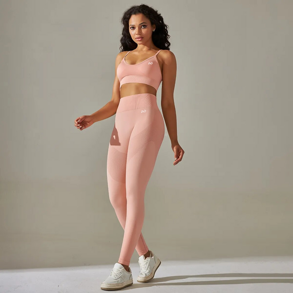 Light Pink Performance 2.0 Seamless Set