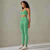 Mint Green Performance 2.0 Seamless Set